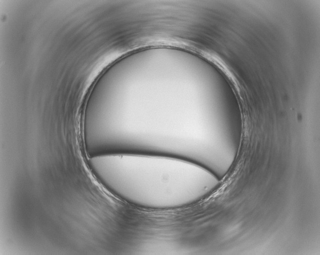 X0000060251048200510281139
