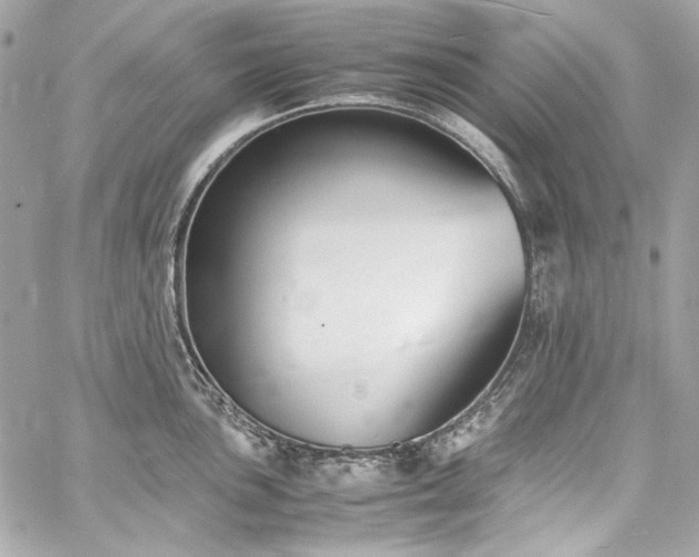 X0000060251051200510281139