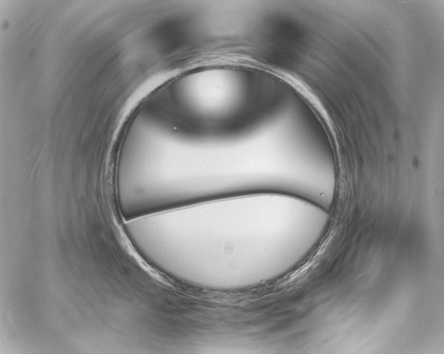 X0000060251053200510281139
