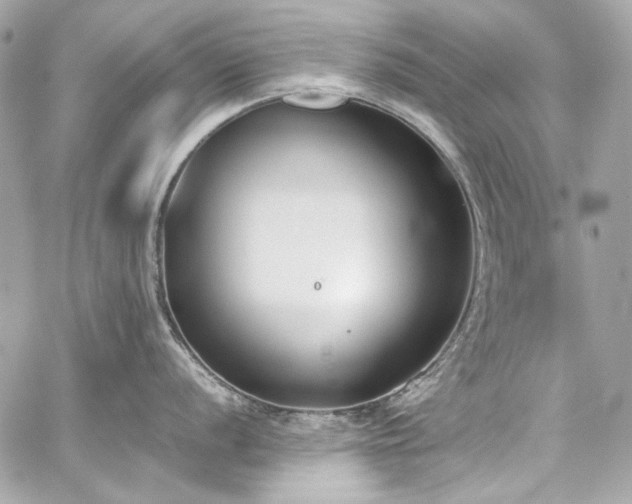 X0000060251056200510281139