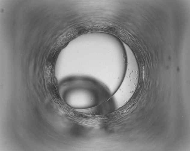 X0000060251059200510281139