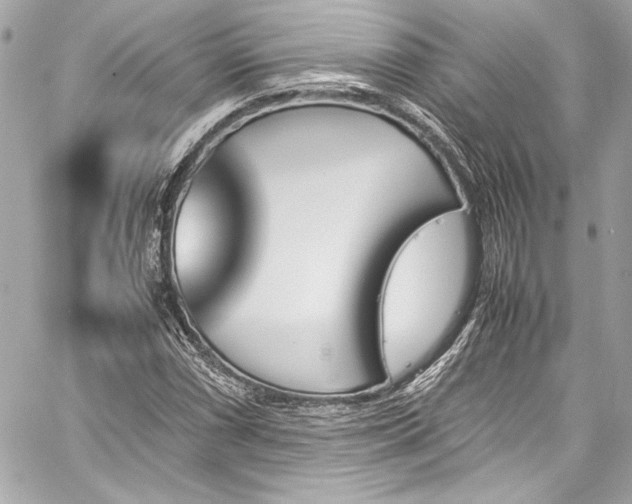 X0000060251066200510281139