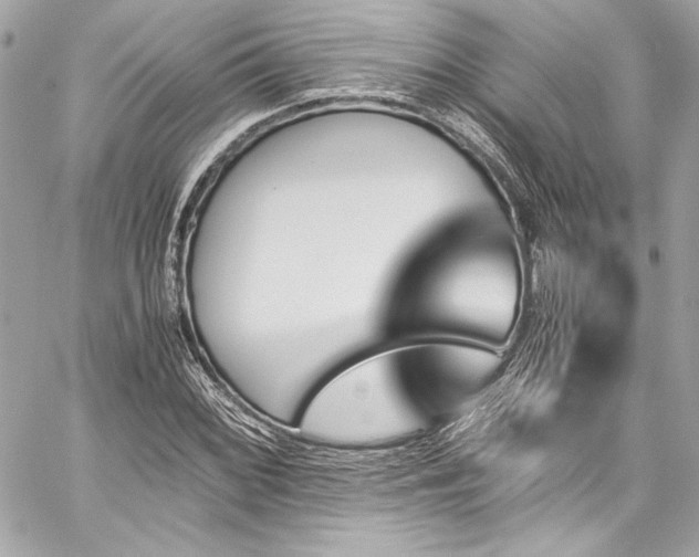 X0000060251068200510281138