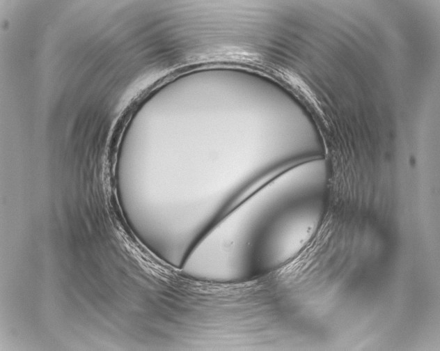 X0000060251072200510281138