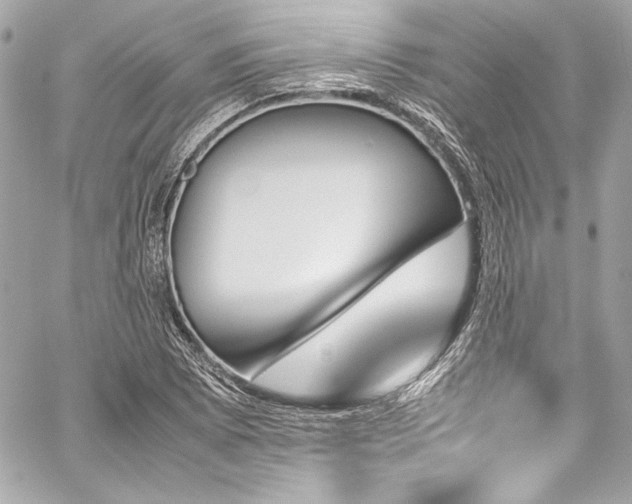 X0000060251073200510281138