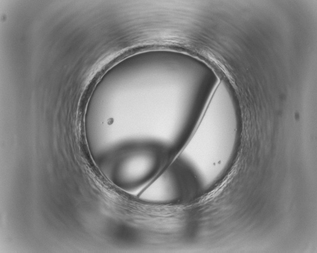 X0000060251077200510281138