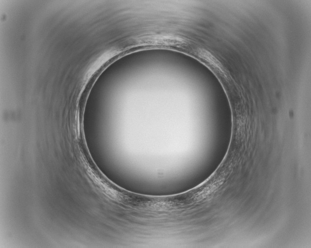 X0000060251079200510281138