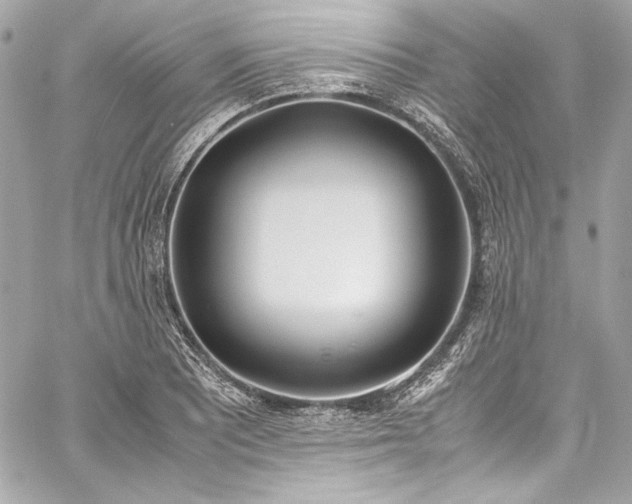 X0000060251081200510281138