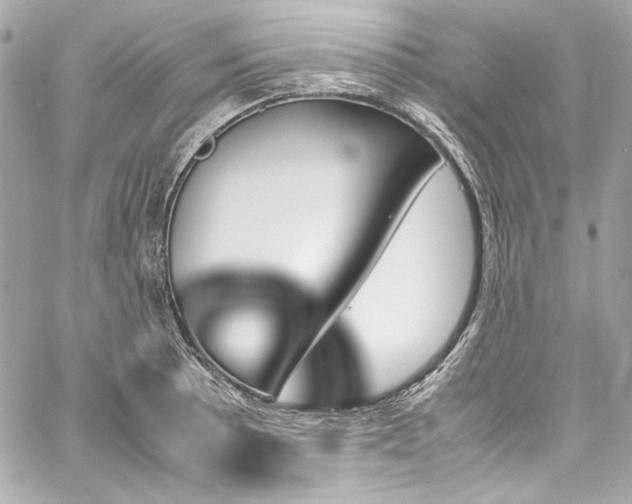 X0000060251089200510281138