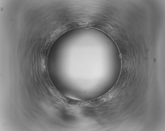 X0000060251106200510281137