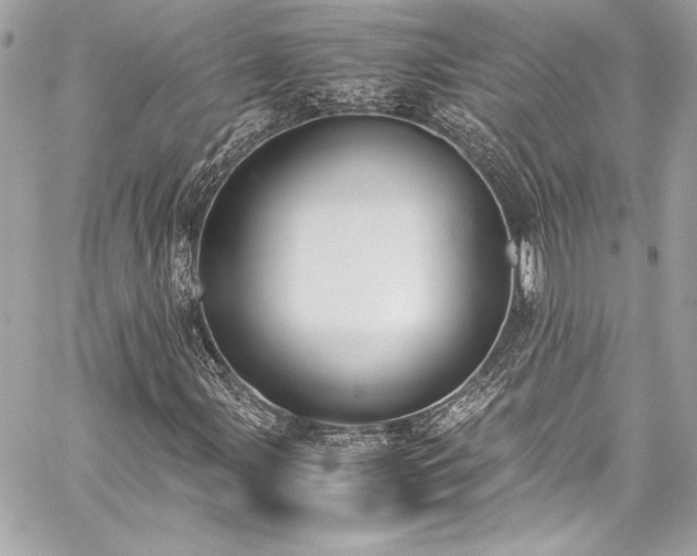 X0000060251107200510281137