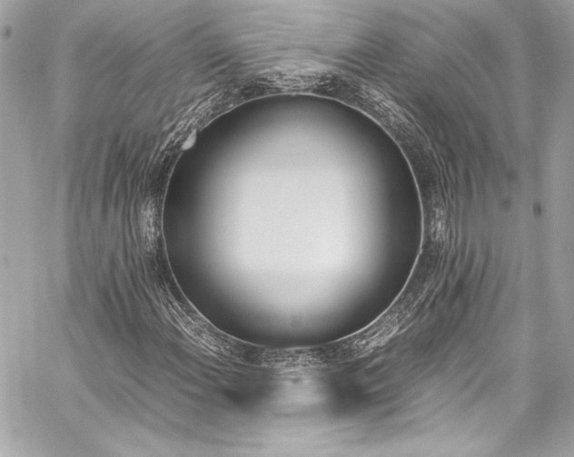 X0000060251108200510281137