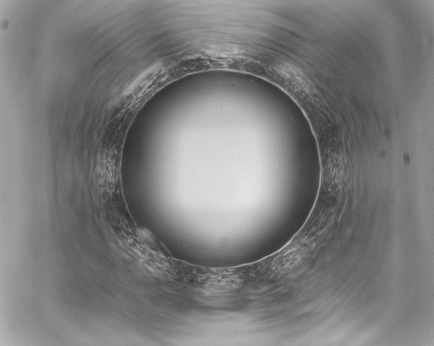 X0000060251110200510281137