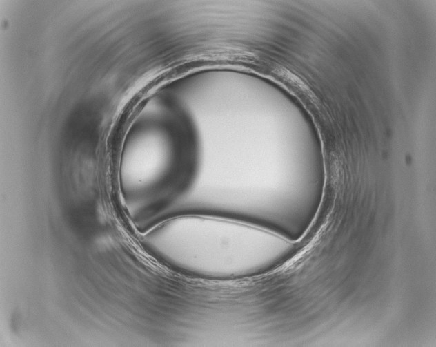 X0000060251114200510281137