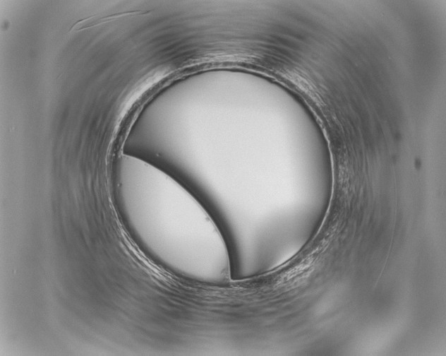 X0000060251119200510281137
