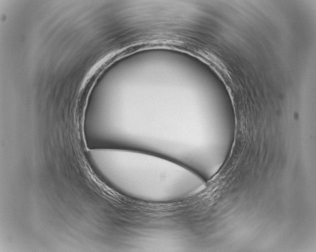 X0000060251120200510281137