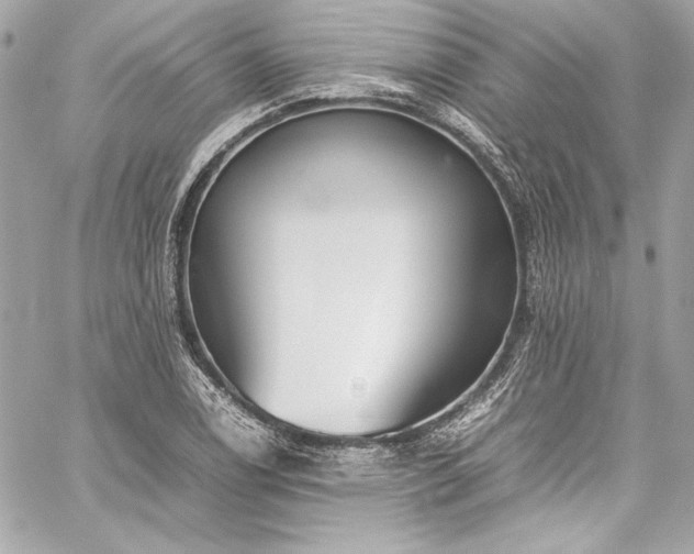 X0000060251122200510281137