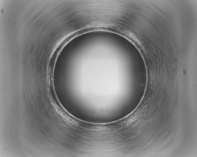 X0000060251124200510281137