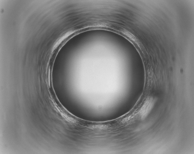 X0000060251127200510281137