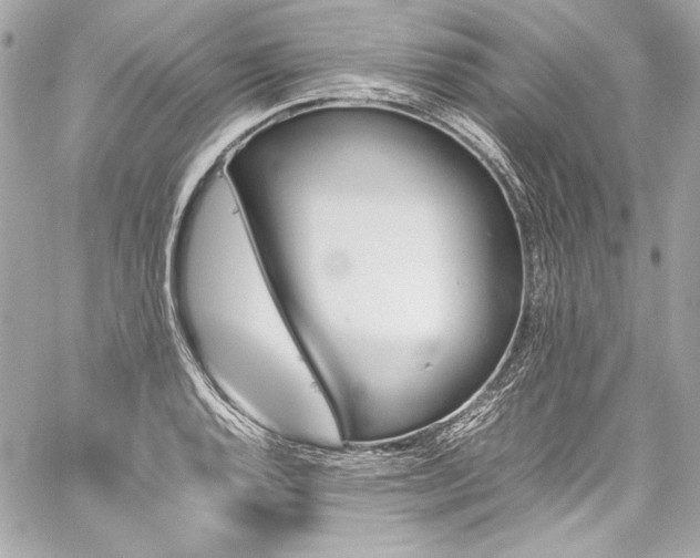X0000060251128200510281137