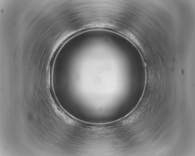 X0000060251132200510281138