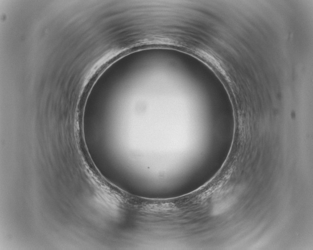 X0000060251133200510281138