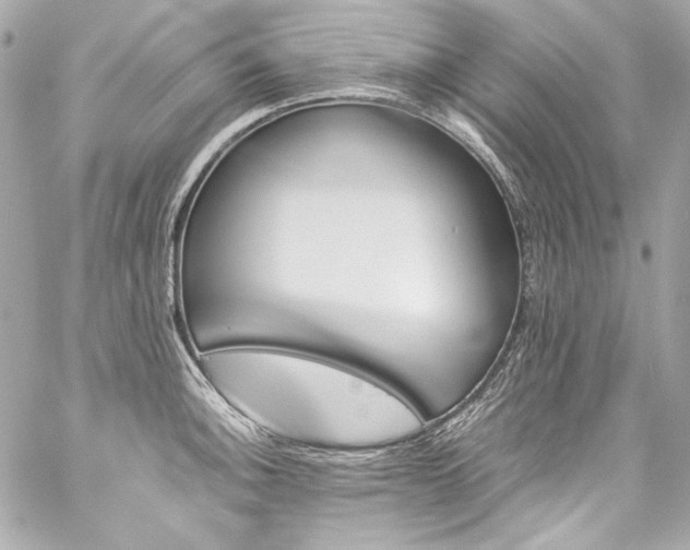 X0000060251140200510281138