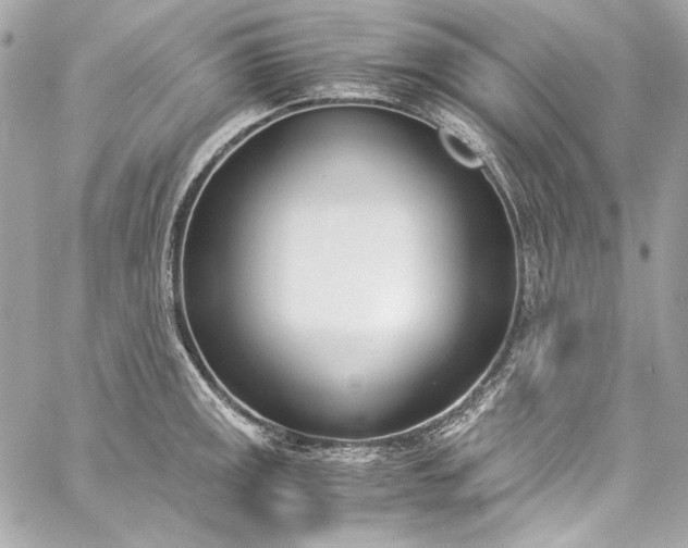 X0000060251141200510281138