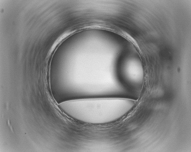 X0000060251146200510281138
