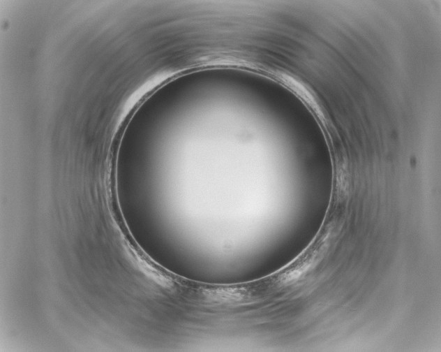 X0000060251149200510281138