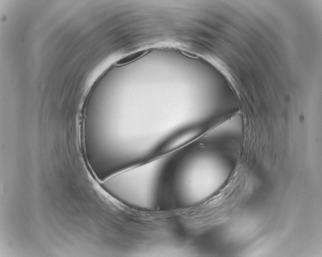 X0000060251151200510281138