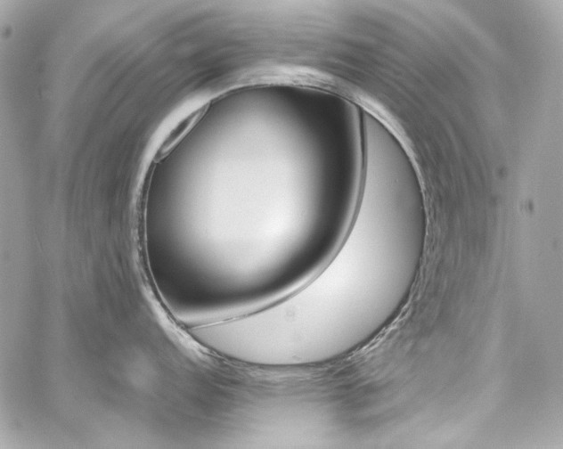 X0000060251152200510281138