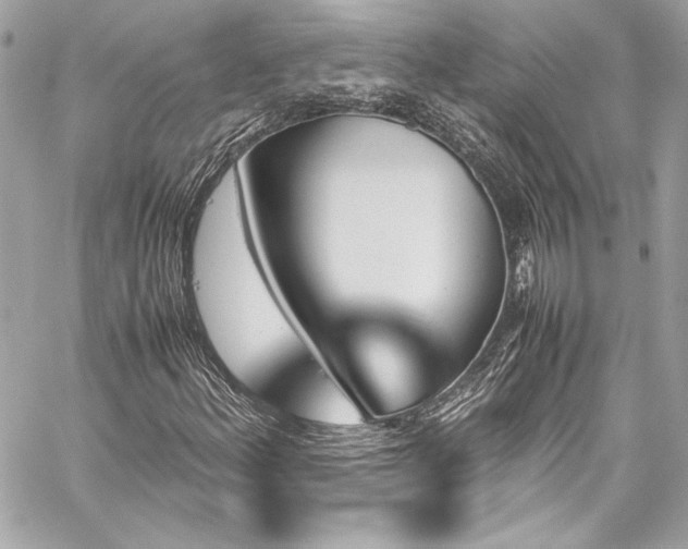 X0000060251156200510281137