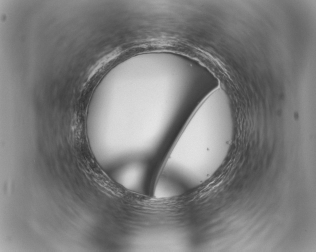 X0000060251160200510281137