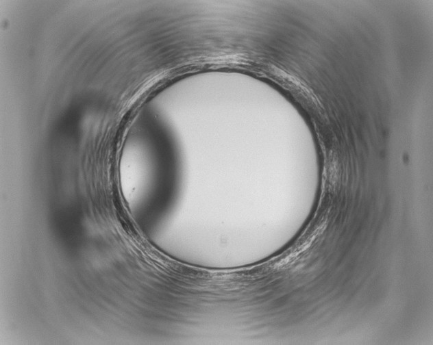 X0000060251162200510281137