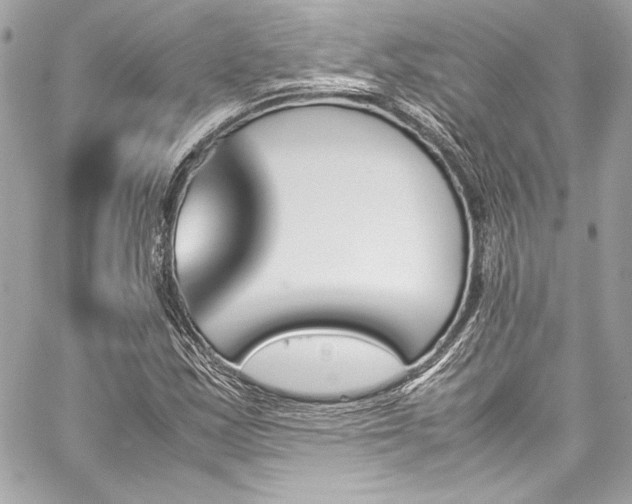 X0000060251163200510281137