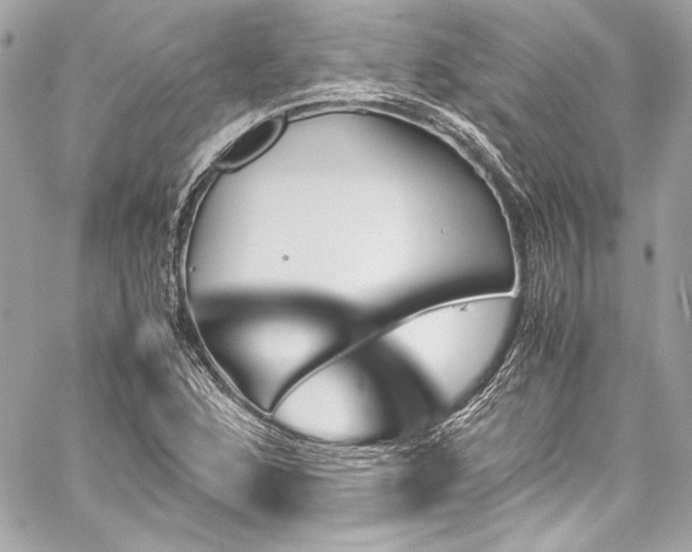 X0000060251168200510281137