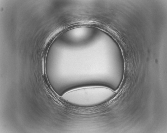 X0000060251171200510281137
