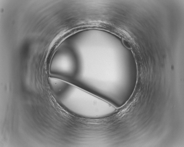 X0000060251172200510281137