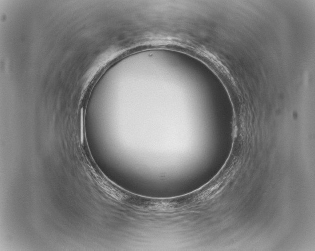 X0000060251175200510281137
