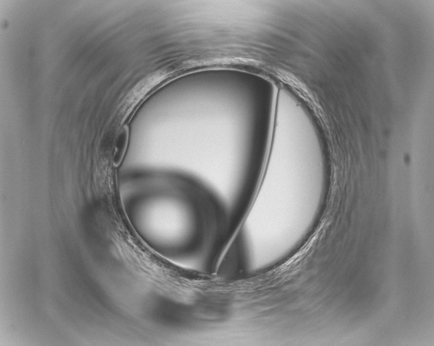 X0000060251177200510281137