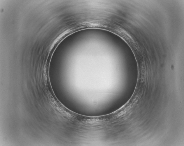 X0000060251182200510281137