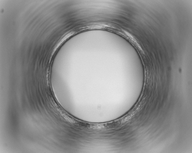 X0000060251186200510281137