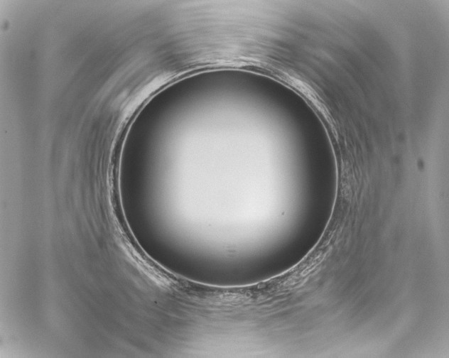 X0000060251187200510281137
