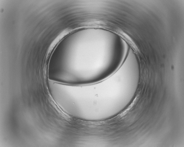 X0000060251196200510281136