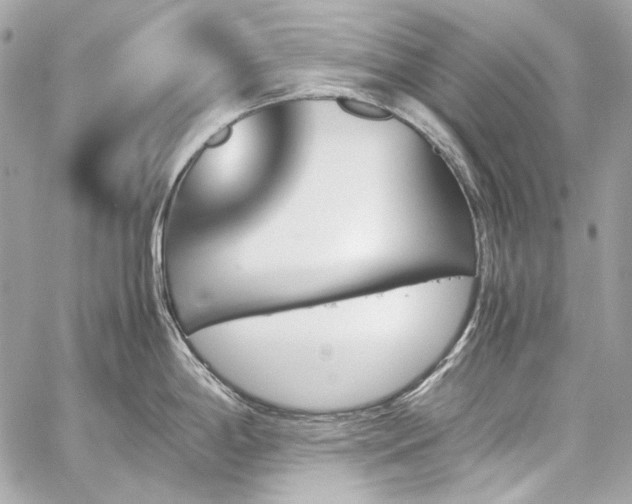X0000060251198200510281136