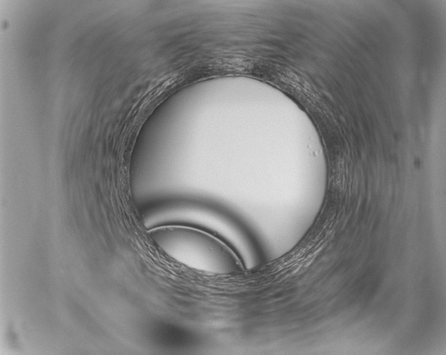 X0000060251201200510281135
