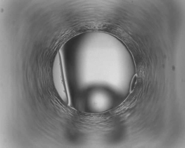 X0000060251202200510281136