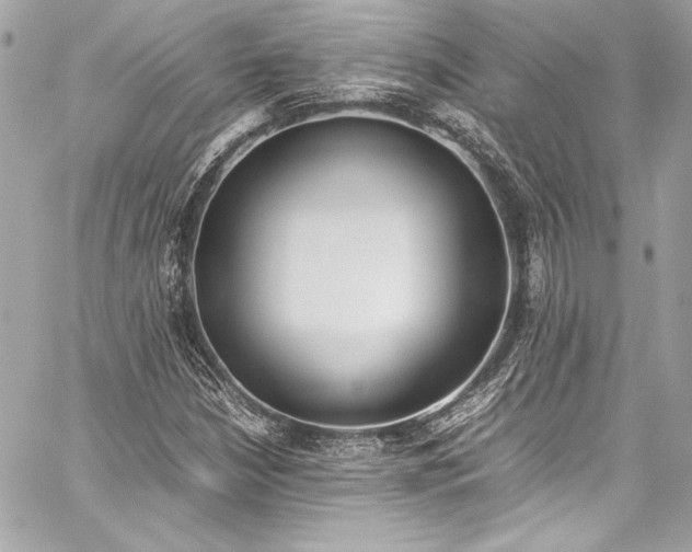 X0000060251210200510281136