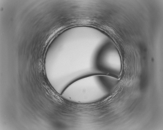 X0000060251212200510281136